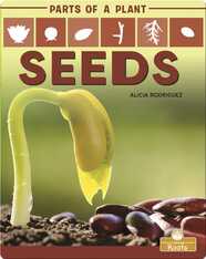 Parts of a Plant: Seeds