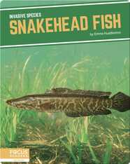 Invasive Species: Snakehead Fish