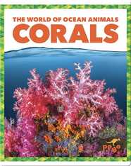 The World of Ocean Animals: Corals