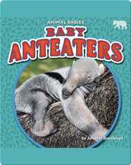 Animal Babies: Baby Anteaters