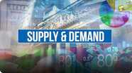 Economics Course: Supply and Demand