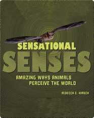 Sensational Senses: Amazing Ways Animals Perceive the World