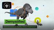 Demystified: Did Dinosaurs Really Have Feathers?