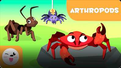 Smile and Learn Animals: Arthropods book