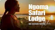 On Safari With Nala: Visit to Safari Lodge