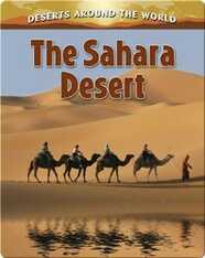 The Sahara Desert