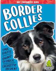 My Favorite Dog: Border Collies