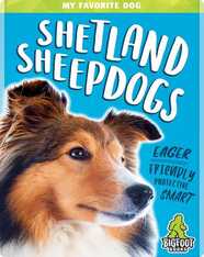My Favorite Dog: Shetland Sheepdogs