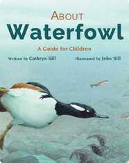 About Waterfowl: A Guide for Children