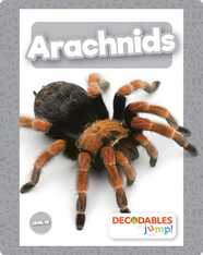 Arachnids