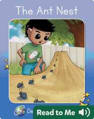 Decodable Explorers: The Ant Nest