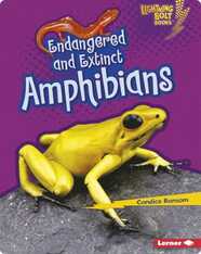 Endangered and Extinct: Amphibians
