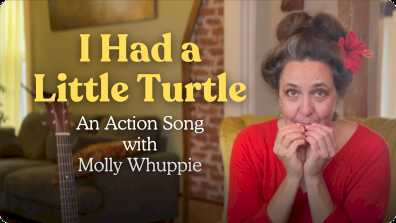 I Had a Little Turtle book