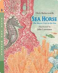 Sea Horse: The Shyest Fish in the Sea