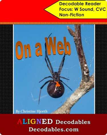On a Web book