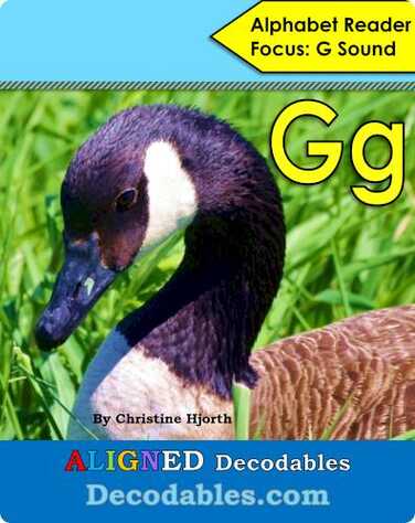 Gg Book book