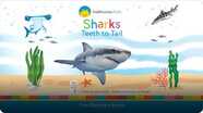 Smithsonian: Sharks