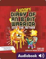 A Noob's Diary of an 8-Bit Warrior: Into the Nether