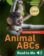 Animal ABC's