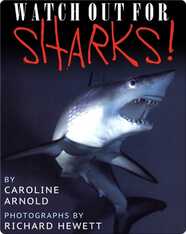 Watch Out For Sharks