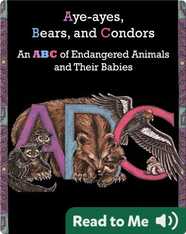 Aye-Ayes, Bears, and Condors