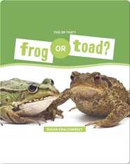 Frog or Toad?