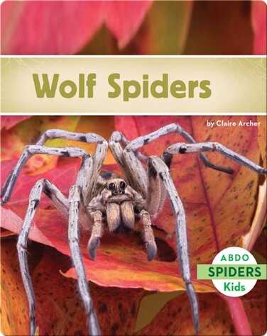 Wolf Spiders book