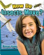 How Do Insects Move?