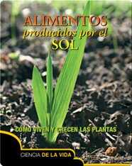 Alimentos producidos por el sol / Food From the Sun