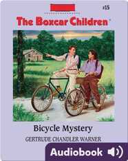 Bicycle Mystery