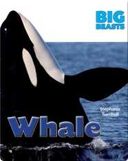Whale