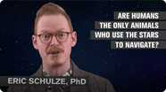 Are Humans the Only Animals to Use the Stars to Navigate?