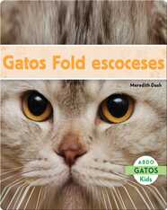 Gatos Fold escoceses