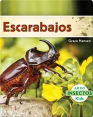 Escarabajos