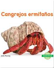 Cangrejos ermitaños