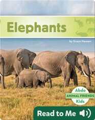 Elephants