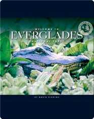 Welcome to Everglades National Park