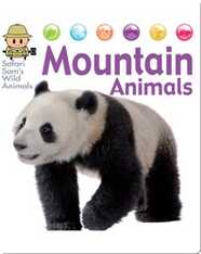 Mountain Animals