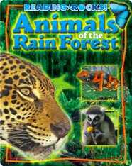 Animals of the RainForest