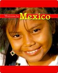 Welcome to Mexico