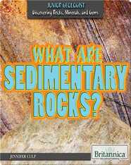 What Are Sedimentary Rocks?