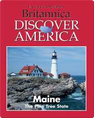 Maine: The Pine Tree State