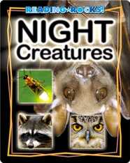 Night Creatures