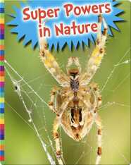 Super Powers In Nature