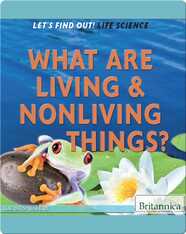 What Are Living & Nonliving Things?