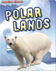 Polar Lands