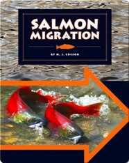 Salmon Migration