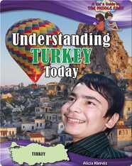 Understanding Turkey Today