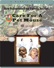 Care for a Pet Mouse