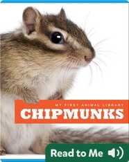 My First Animal Library: Chipmunks